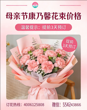 常德石门县花店母亲节康乃馨花束