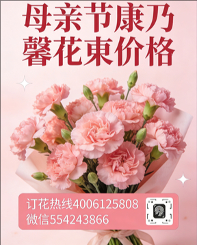常德石门县花店母亲节康乃馨花束